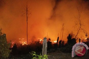 Puluhan Hektare Hutan dan Lahan Terbakar di Sijunjung