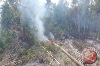 Perambahan di Zona Inti, TNKS: Penanganan Perambahan harus Sistematis