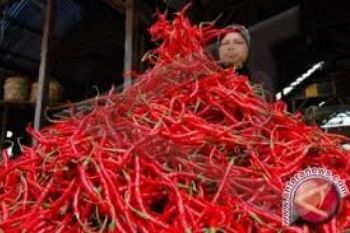 Hargai Cabai Naik Rp27.500 Per Kilogram