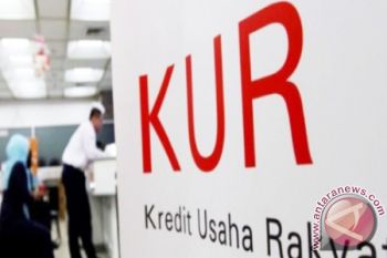 Pemerintah Diharap Kembangkan Kredit Usaha Super Mikro