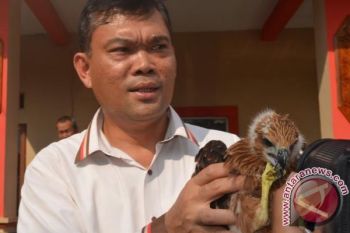 Penyeludupan Satwa Langka Berhasil Diungkap Petugas