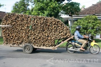 Motor Penarik Gerobak