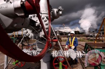 DPR dan Pemerintah dukung Energi Panas Bumi