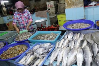 Pasokan Ikan Laut Kurang