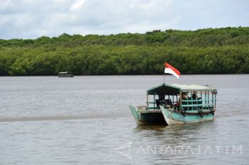 Wisata Mangrove Bedul