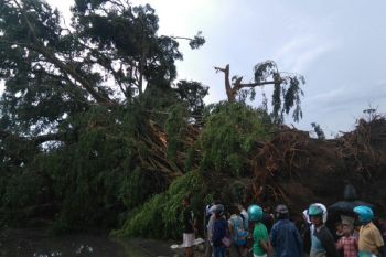 BPBD Temanggung: Waspadai Puting Beliung Saat Pancaroba 