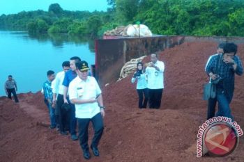 Nah! 75 Izin Perkebunan di Kalteng Terancam Dicabut, Kata Gubernur