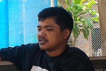 Warga Merapi Rintis Koperasi Penyedia Pakan Ternak
