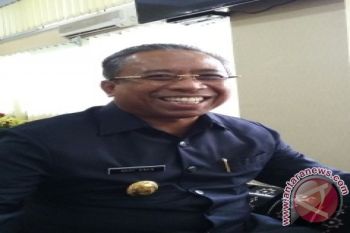 Wagub: Dua Tahun Jokowi-JK Gairahkan Ekonomi