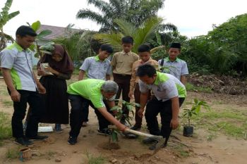 Pemula Way Kanan Tanam Pohon Penghijauan