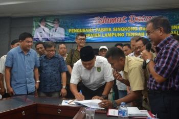 Harga Singkong Di Lampung Tengah Disepakati Rp700/Kg