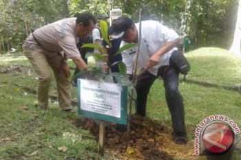 Perhutanan sosial menghadapi berbagai kendala