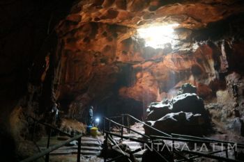 Gua di Tengah Hutan Tuban