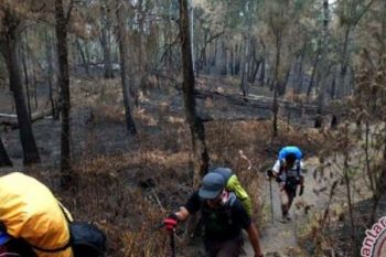 Keluhkan Sakit Perut, Seorang Pendaki Gunung Semeru Meninggal Dunia