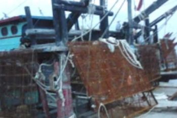 Puluhan Kapal Penangkap Kerang Asal Sumut Beroperasi Di Rohil