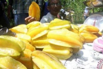 Ada Kosmetik Berbahan Buah Belimbing Produksi UI