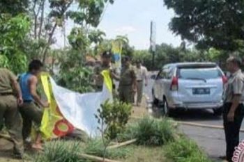 Alat Peraga Kampanye Bertebaran di Pekanbaru, Bawaslu: Itu Ilegal Semua