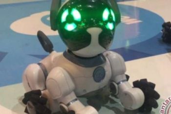Robot Peliharaan Curi Perhatian Pengunjung Indocomtech 2016
