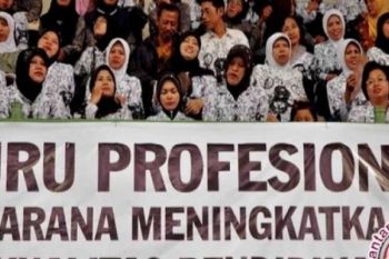 Pemko Pekanbaru Sediakan Tunjangan Profesi Guru Senilai Rp112 Miliar