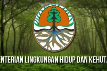 KLHK Lakukan Penindakan Terhadap Kebun Sawit Di Cagar Biosfer GSK-BB