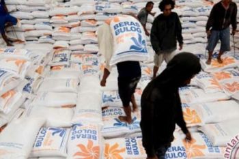 Bulog Riau Klaim Stok Beras Mencukupi Untuk Empat Bulan Kedepan