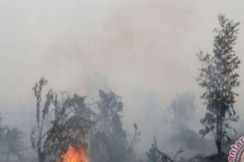 Polres Kampar Serahkan Dua Pelaku Karhutla Ke Kejari