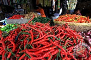 Harga Cabai Tembus Rp60 Ribu/Kg di Temanggung 