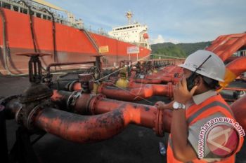 Pasokan minyak biji-bijian meningkat, permintaan minyak sawit 2019 diperkirakan datar
