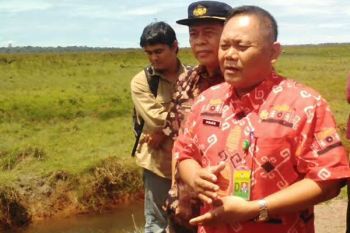 PKG Way Kambas sudah teraliri listrik PLN  