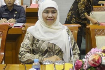 Mensos: Beri Akses Kelompok Rentan agar Mandiri