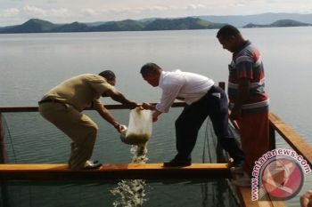 Warga Nendali Jayapura apresiasi bantuan sosial Pertamina
