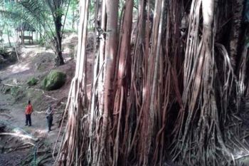 Desa Plajan Kembangkan Taman Wisata Margasatwa