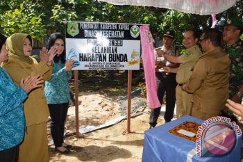 Rumah Tunggu Kelahiran Tamban Catur Diresmikan Bupati Kapuas