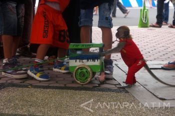 Pertunjukan Topeng Monyet