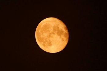 Waktu Terbaik Amati Supermoon