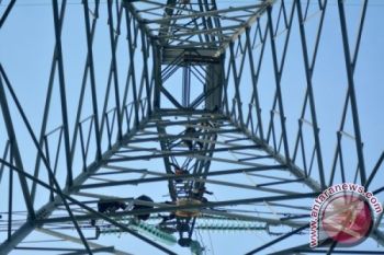 PLN Belum Penuhi Kebutuhan Konsumen 