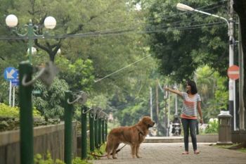 Jolotundo Semarang Jadi Jalan Hijau Indonesia