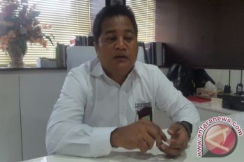 Jaringan transmisi Genyem terganggu pohon tumbang 