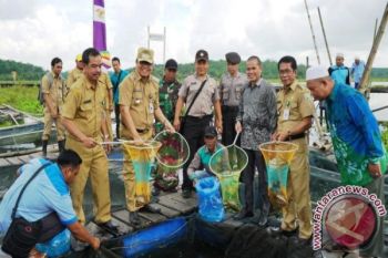 Balangan Sebar Ribuan Benih Ikan Lokal