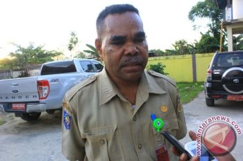 Direktur RSUD Sarmi akui pelayanan kesehatan tumpang tindih 