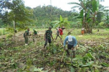 Babinsa Yapsel bantu masyarakat buka lahan pertanian