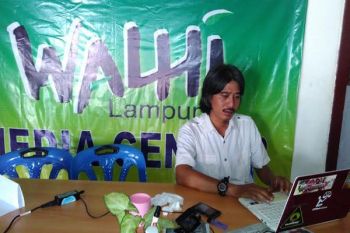 Walhi: kerusakan hutan di Lampung 65 persen