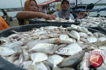 Belajar dari Prancis soal Pengelolaan Nelayan