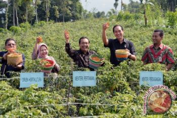 Kelompok Tani Dorong Terbentuknya Badan Pangan Nasional