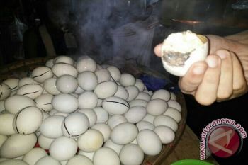 Meski Takut Coba Santap "Balut"