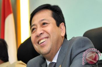 PDIP Hormati Prerogatif Golkar Tunjuk Novanto