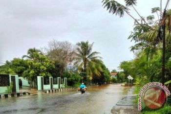 3 Km Saluran Drainase Milik Pemprov Kalteng Berpotensi Jadi Penyebab Banjir Kota Pulpis