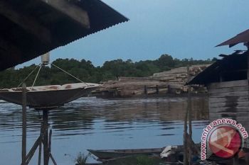 Ada Tongkang Bawa Gelondongan Kayu, Kapolres Mengaku Belum Terima Laporan