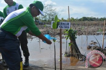 Jaga, Pelihara dan Manfaatkan Bumi Secara Bijaksana--Peringati HMPI, Gubernur Tanam Mangrove di Area Tambak