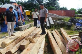 Polres Belum Tetapkan Tersangka Kayu Temuan Legislator, Kenapa?